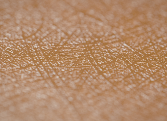 La jonction dermo-épidermique : la zone invisible qui conditionne votre peau