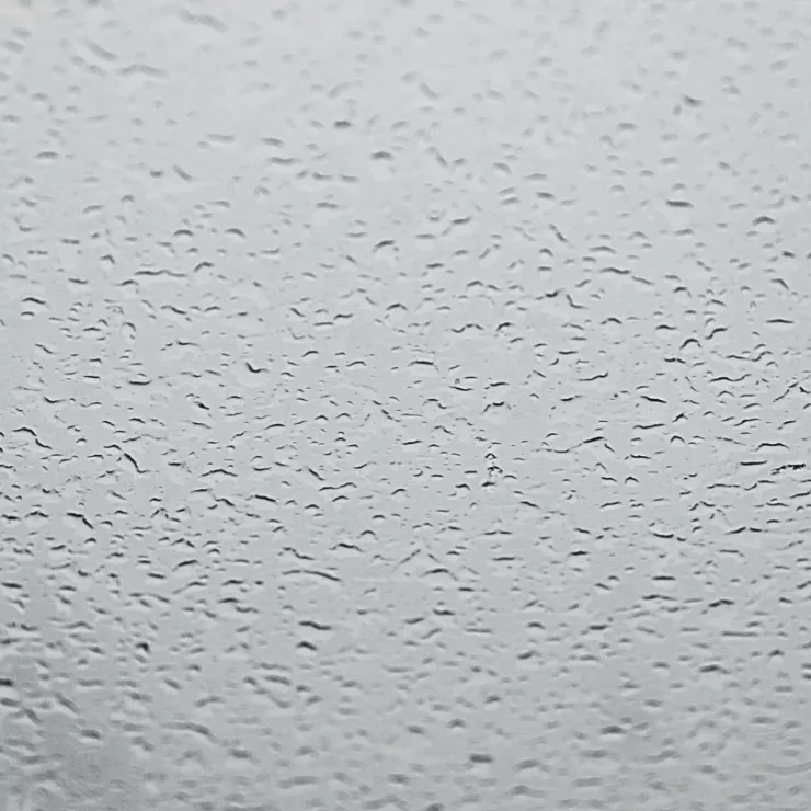 Hydra Mist - galerie