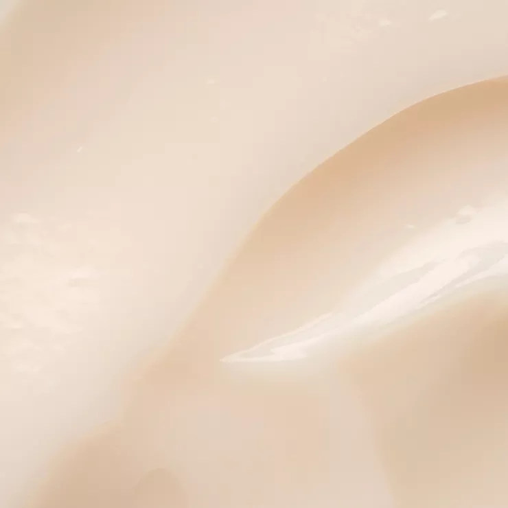 Cuidado de la Hidra - galerie