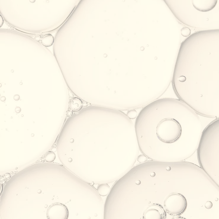 Longevity Protocol - galerie